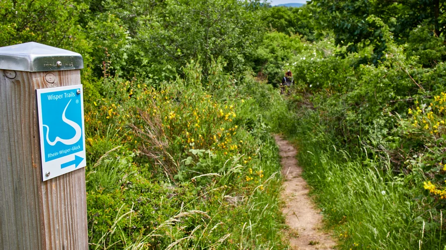 Wisper Trails: Rhein-Wisper-Glück 
