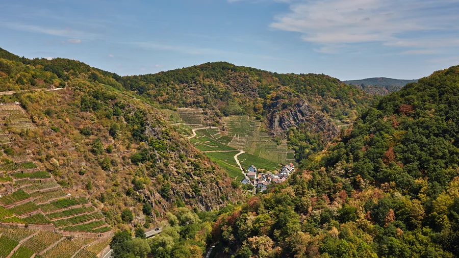 Rotweinwanderweg an der Ahr