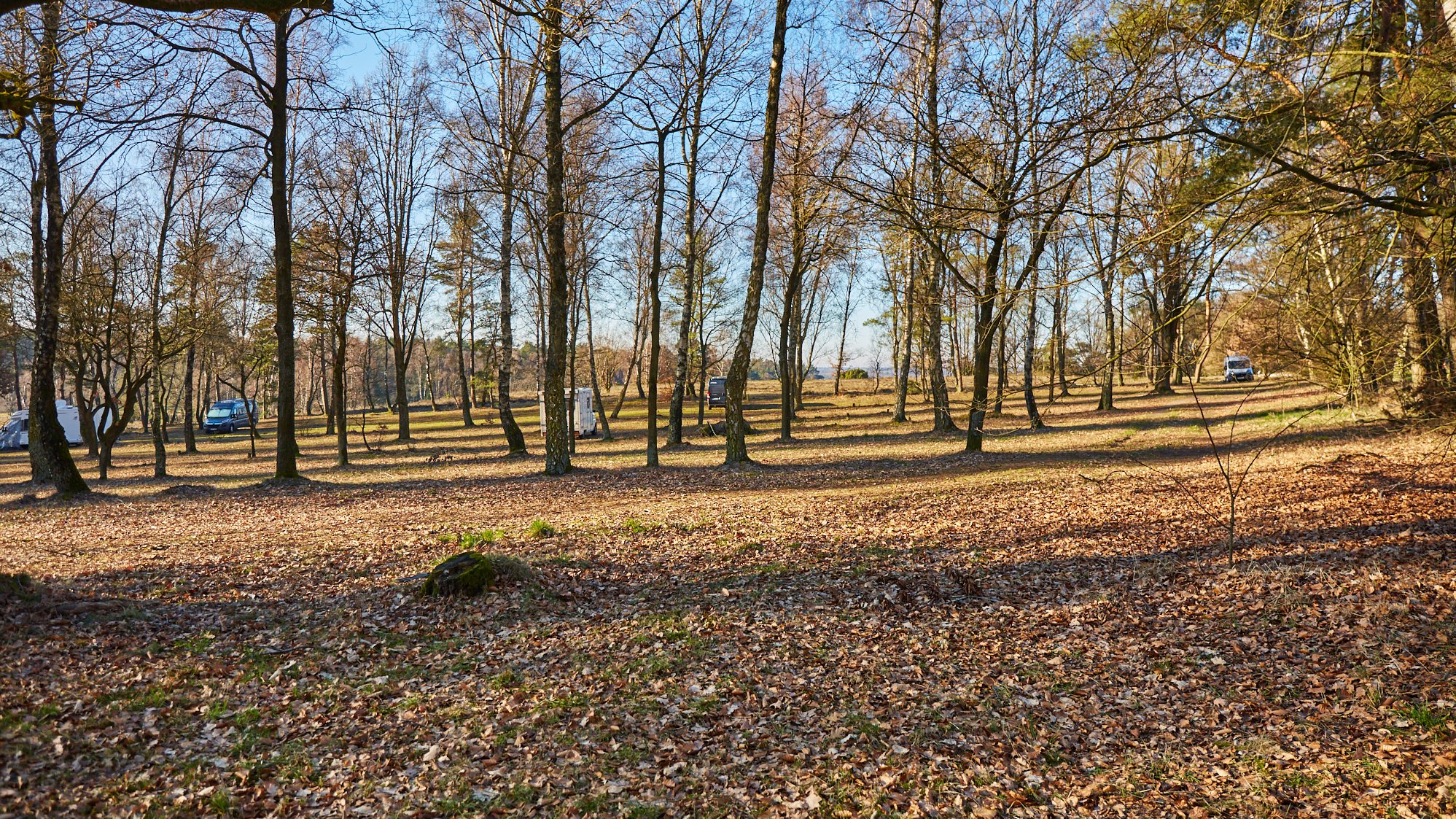 Overhaverbeck