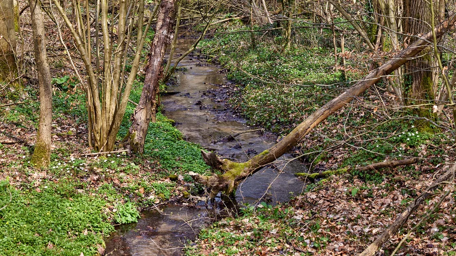 Teutoschleife Canyon Blick