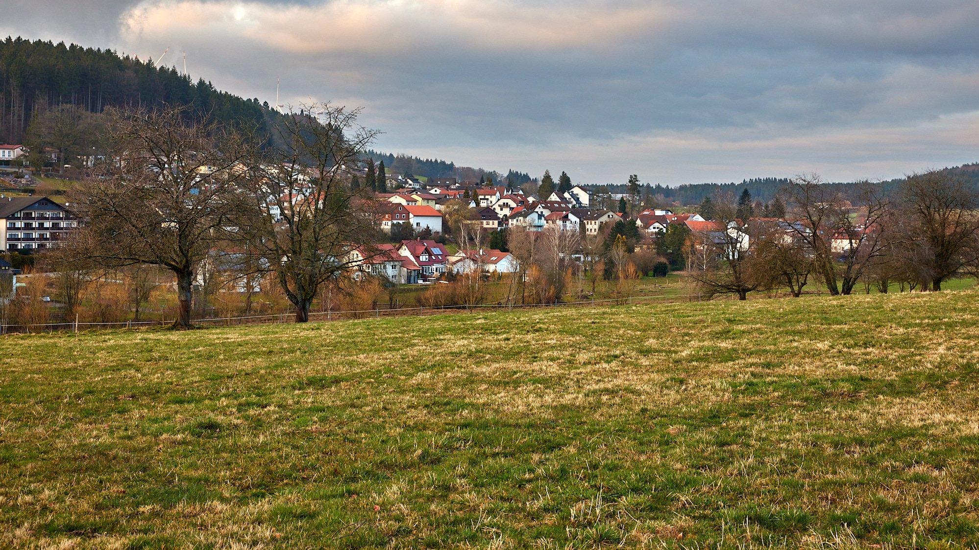 Gras-Ellenbach