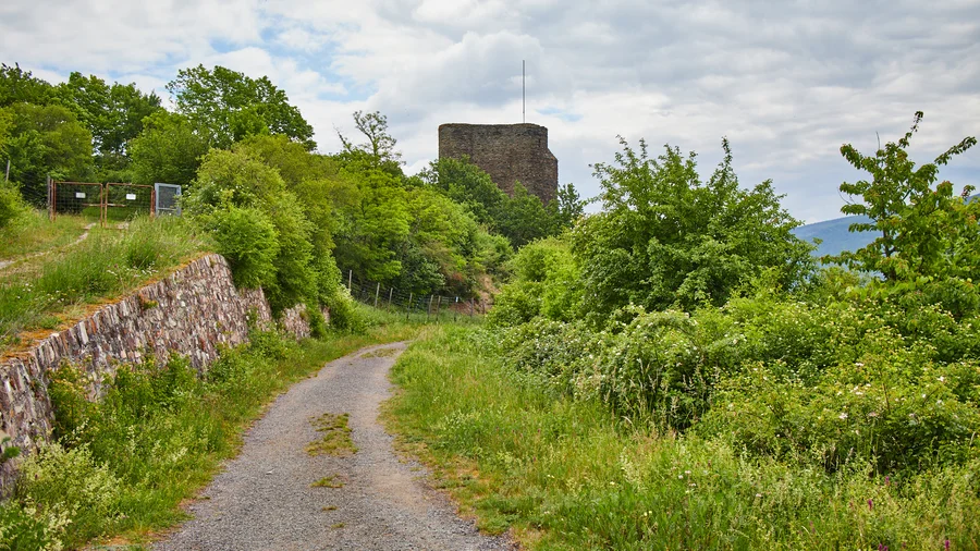 Rhein-Wisper-Glück 