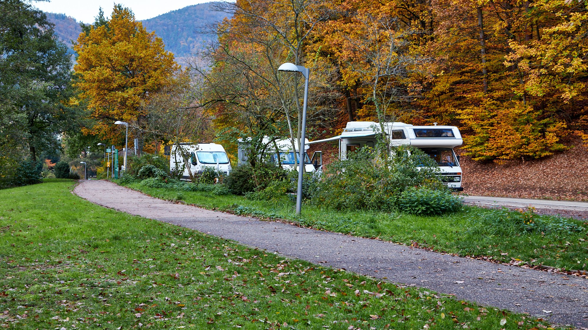 Annweiler Triefels