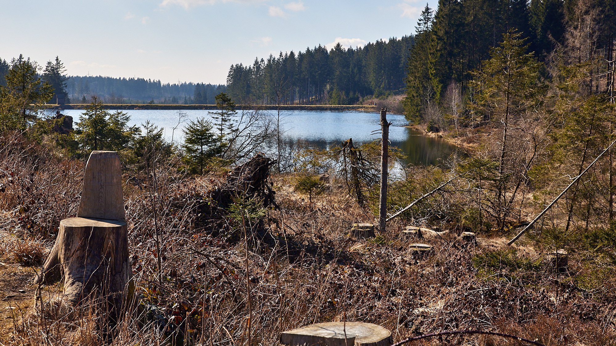 Liebesbankweg Hahnenklee