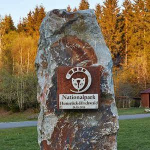 Nationalpark Hunsrück-Hochwald