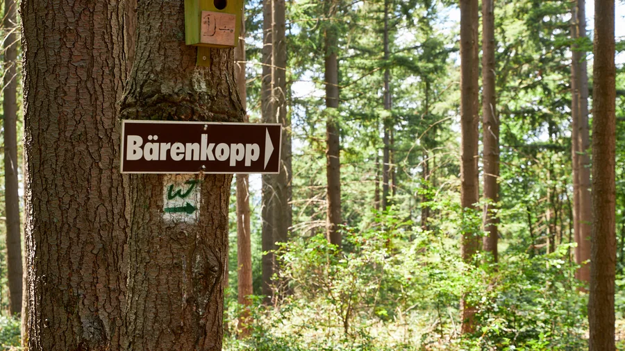 Wäller Tour Bärenkopp