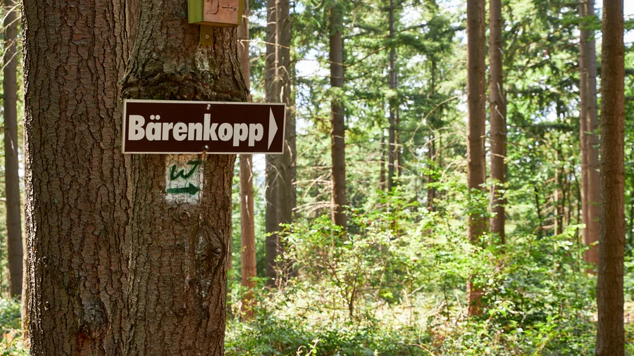 Wäller Tour Bärenkopp