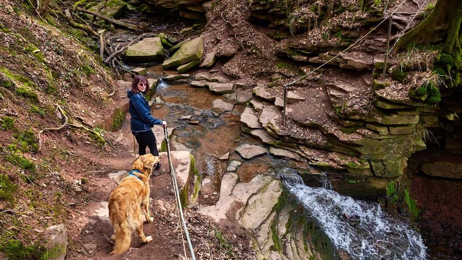 Margarethenschlucht