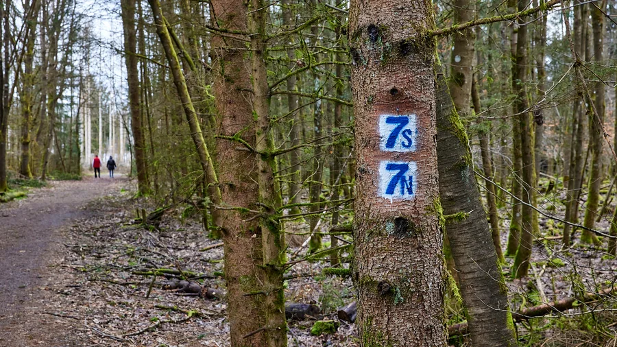 7-Weiher-Weg