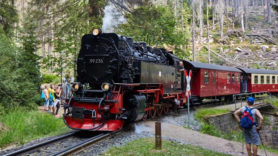 Die Brockenbahn am Eckerloch