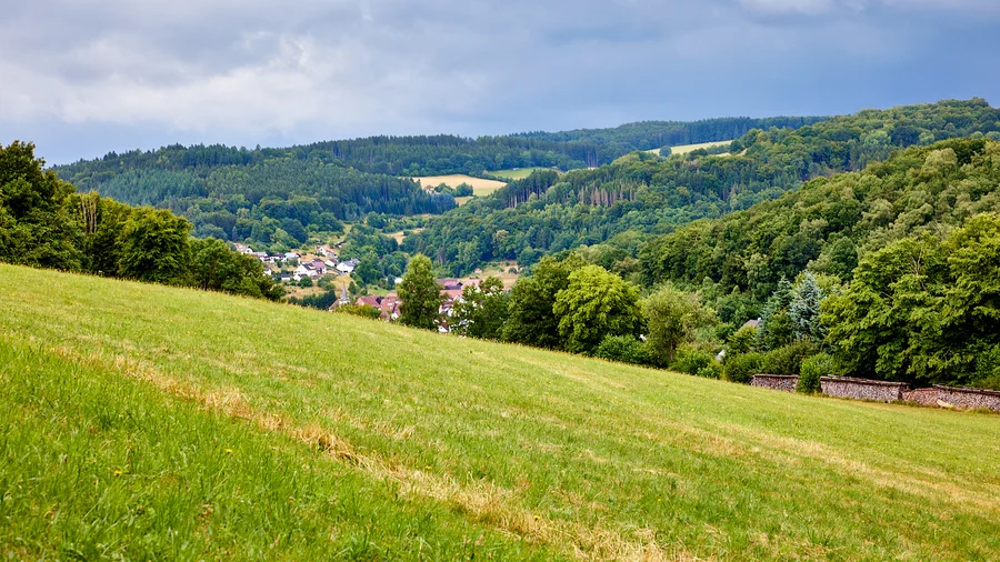 Grünnseelchenweg Flörsbachtal