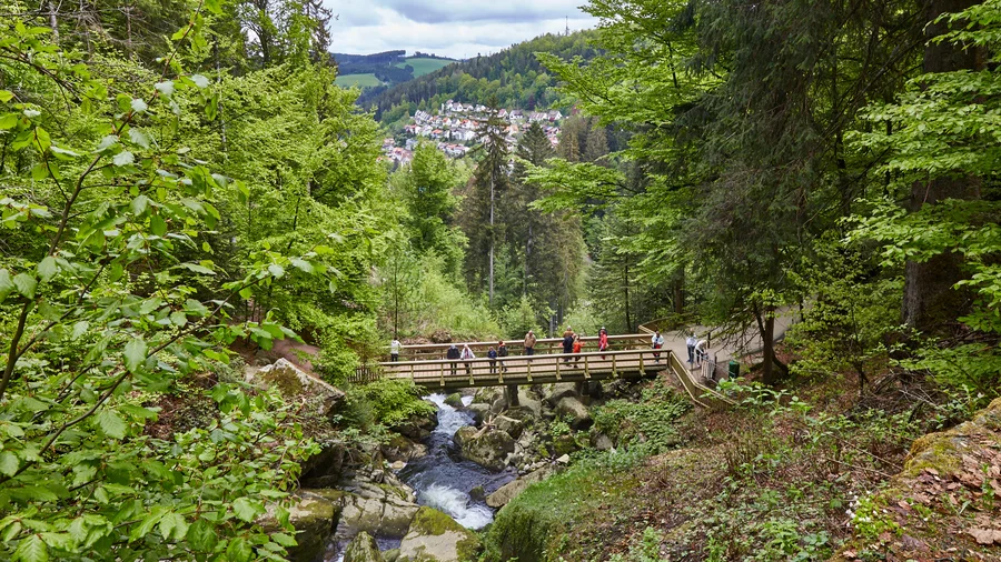 Trieberger Wasserfälle