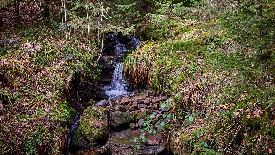 Baiersbronner Satteleisteig