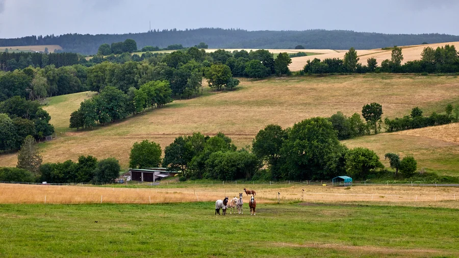 Grünnseelchenweg Flörsbachtal
