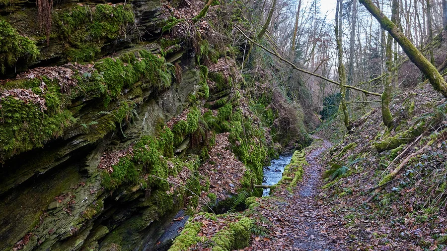 Liebesschlucht Zell/Mosel