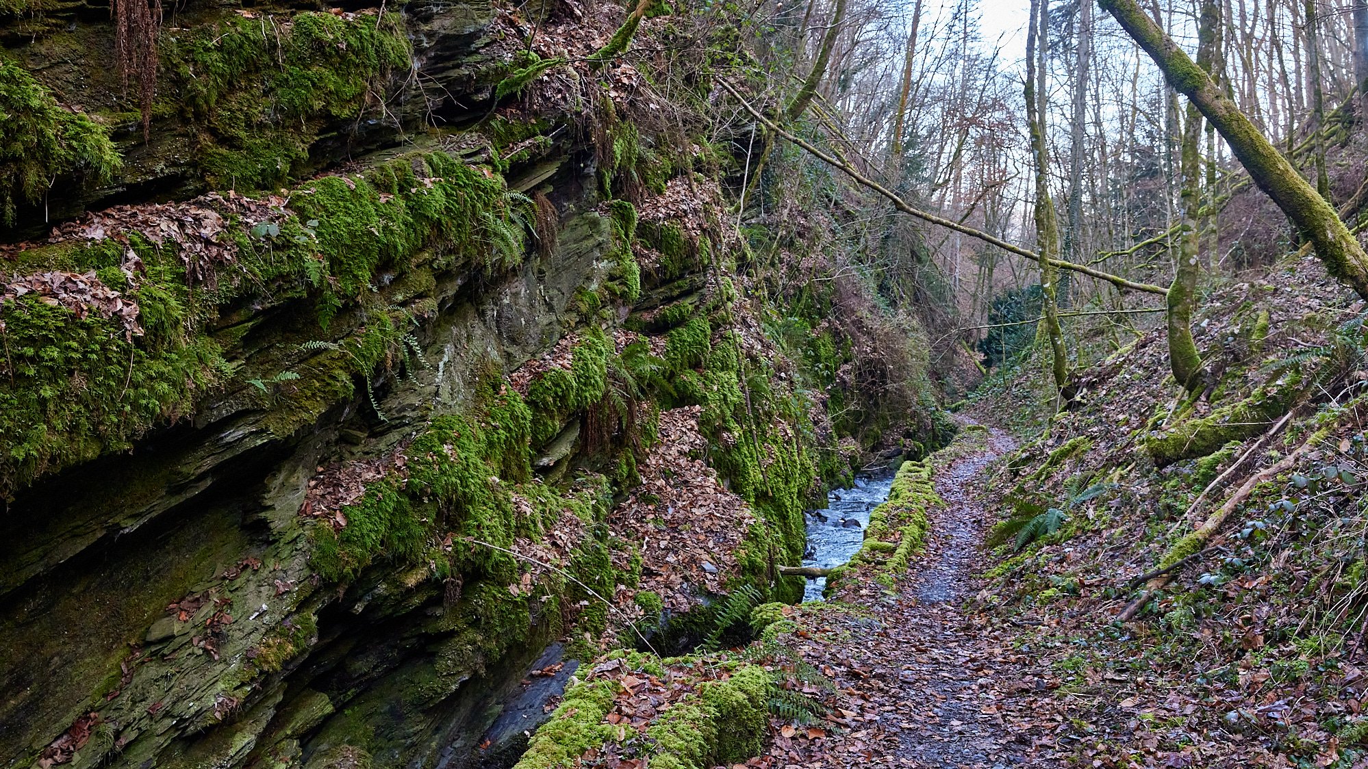 Liebesschlucht Zell/Mosel