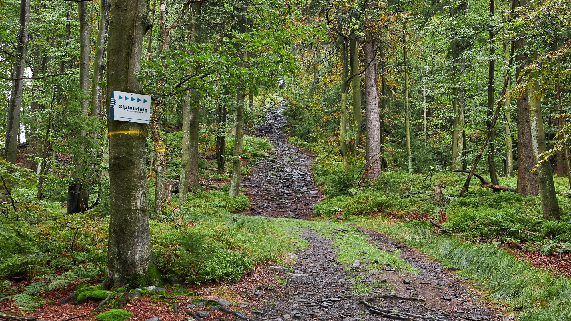 Hoher Bogen