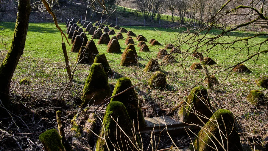 EifelSchleife Eisvogelwanderweg