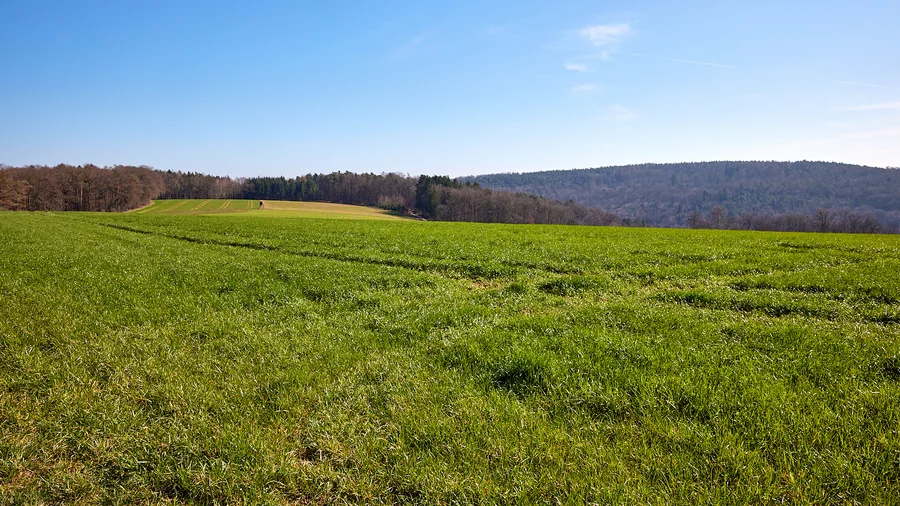 Haselberg Rundkurs