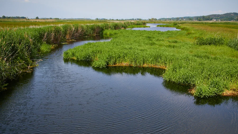 Nationalpark Unteres Odertal