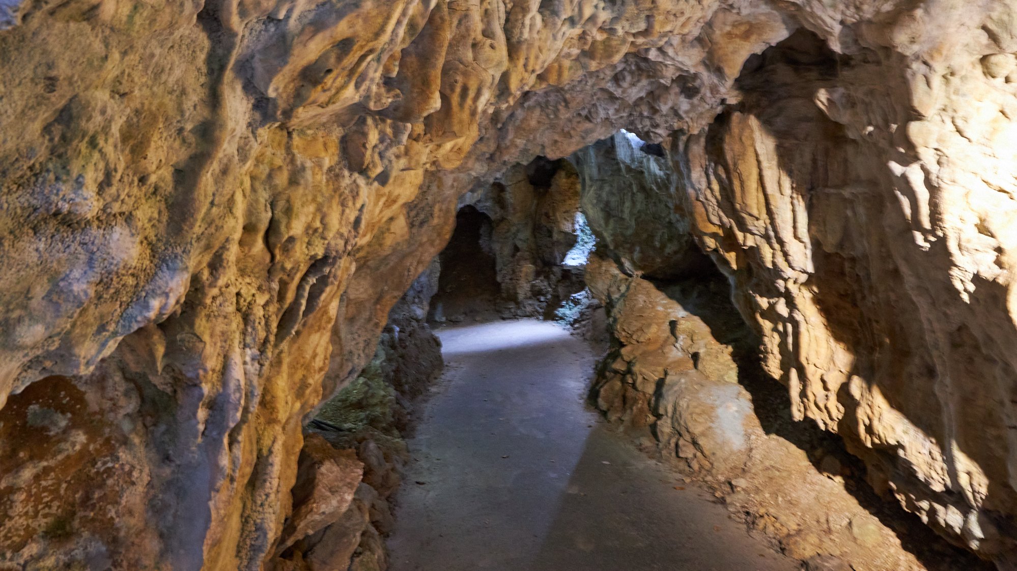 Bärenhöhle