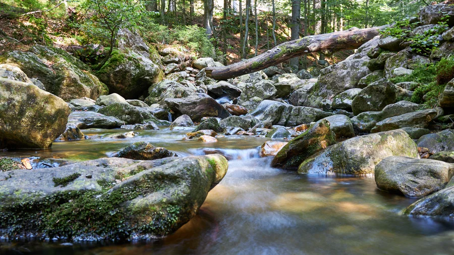 Die Rieslochwasserfälle