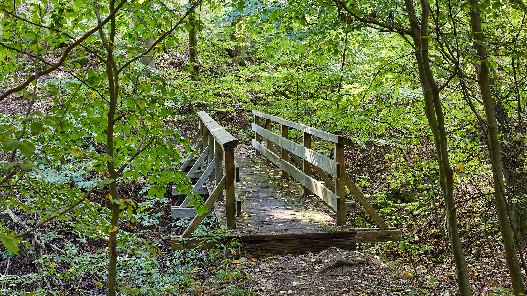 Wespelquelle und Heidentempel