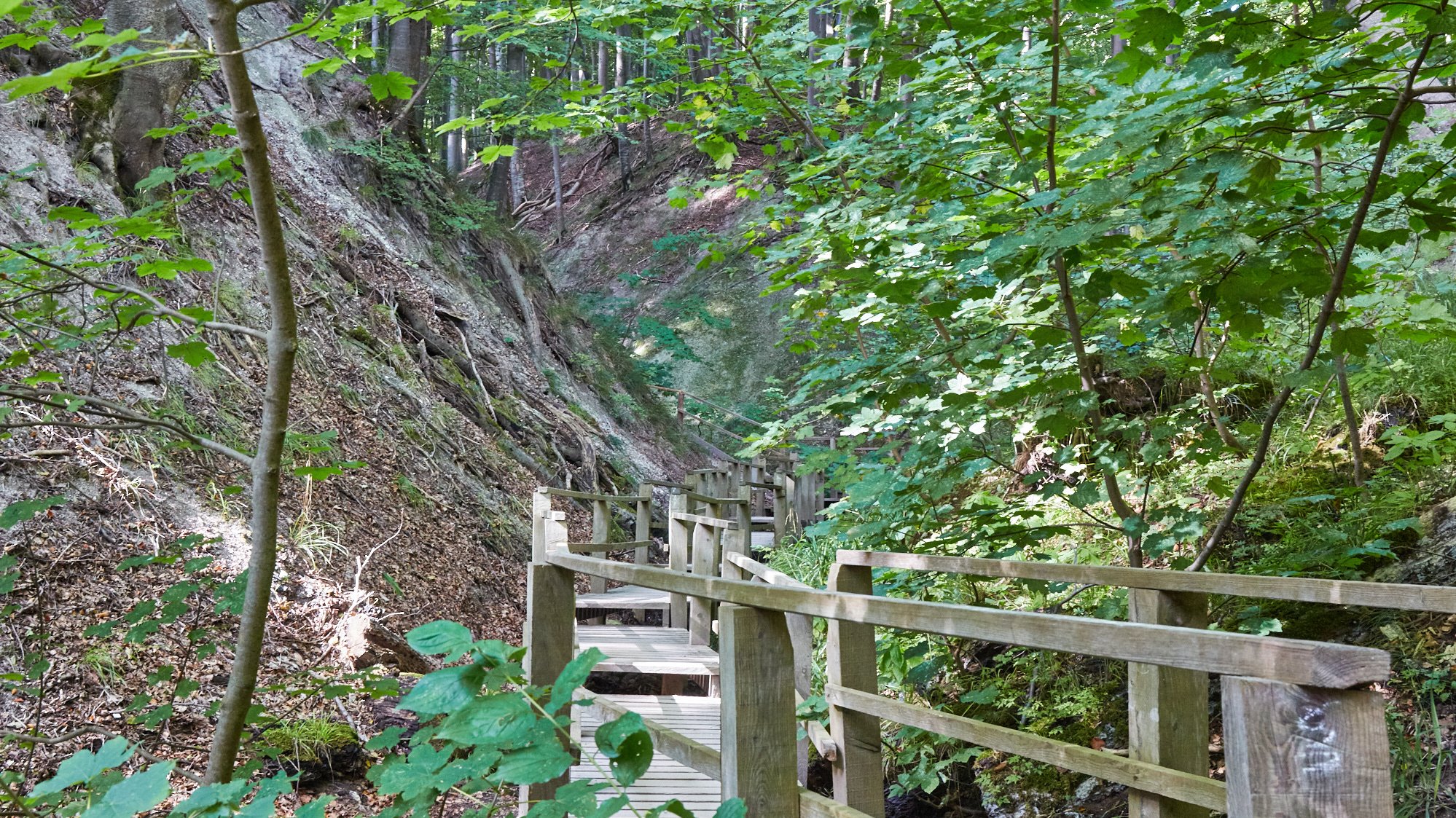 Nationalpark Jasmund