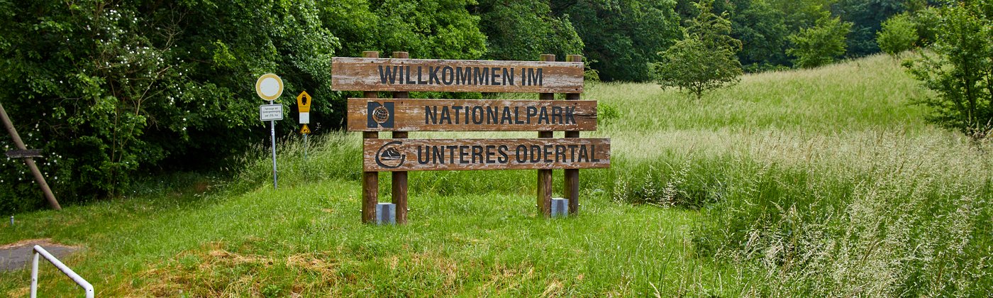 Nationalpark Unteres Odertal deutschlandoutdoor.de