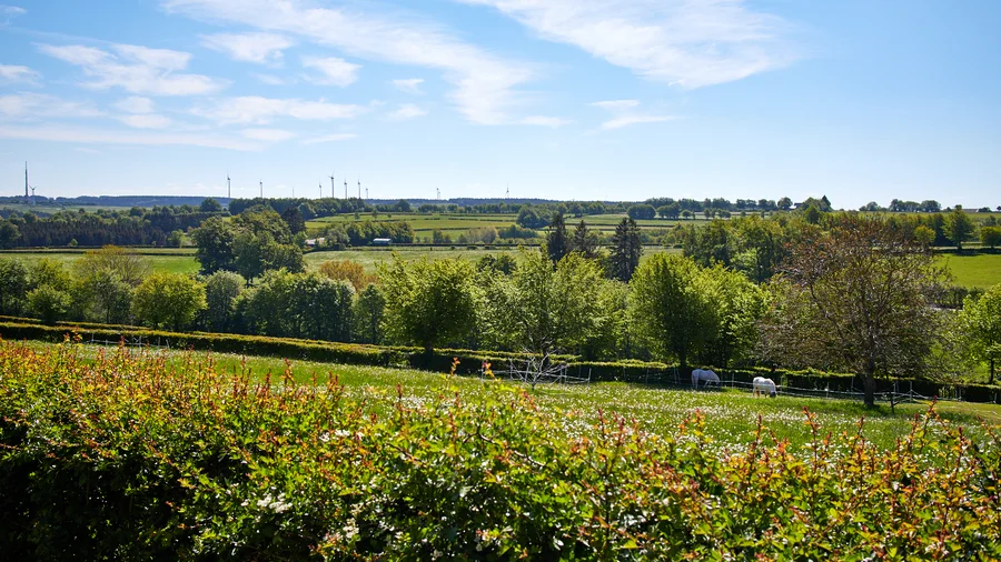 EifelSchleife Udenbrether Höckerlinie