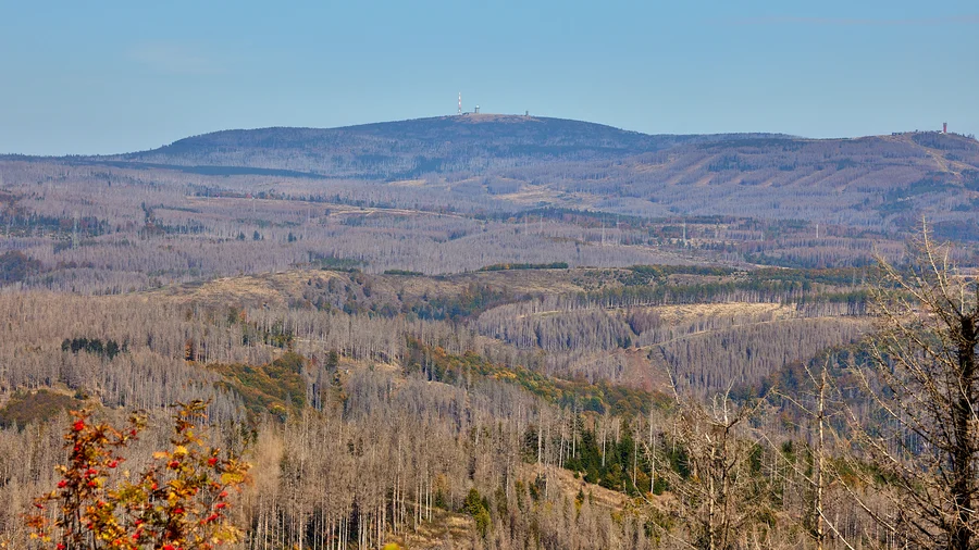 Brockenblick vom Stöberhai