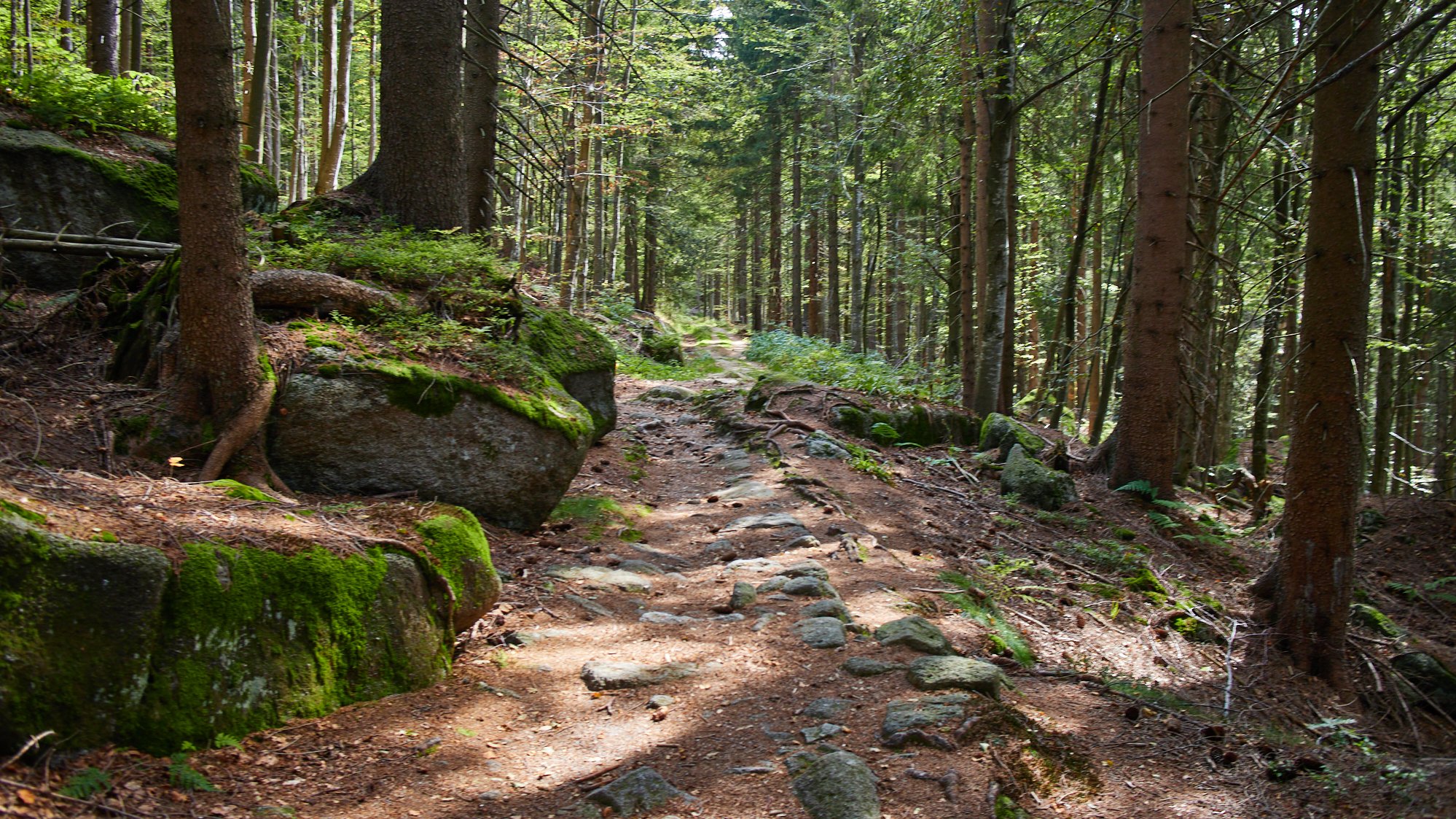 Dreiländereck