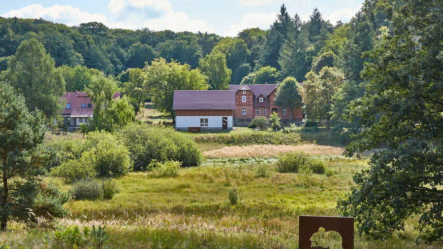 Serrahn im Nationalpark Müritz