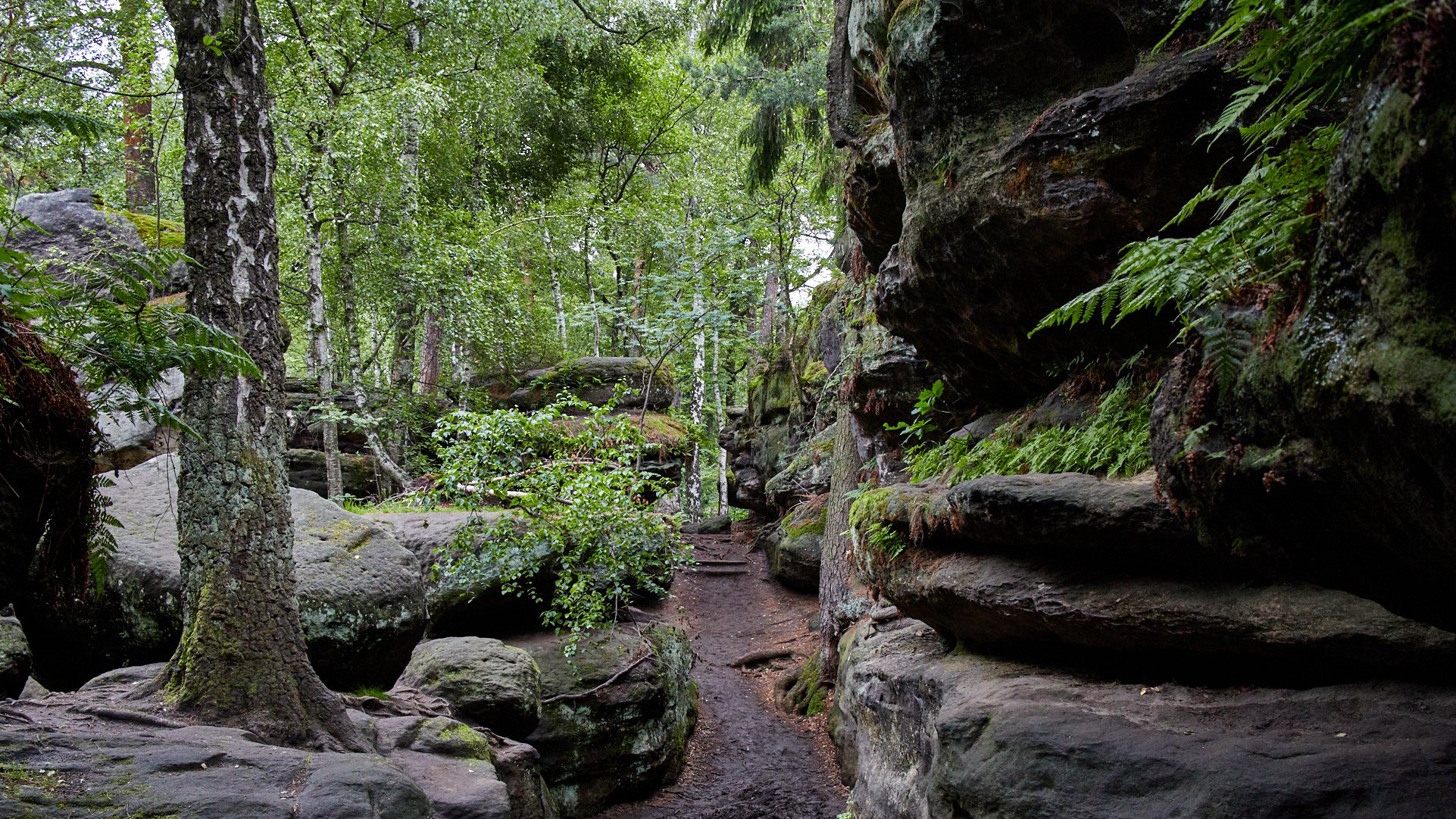 Felsenlabyrinth Langenhennersdorf