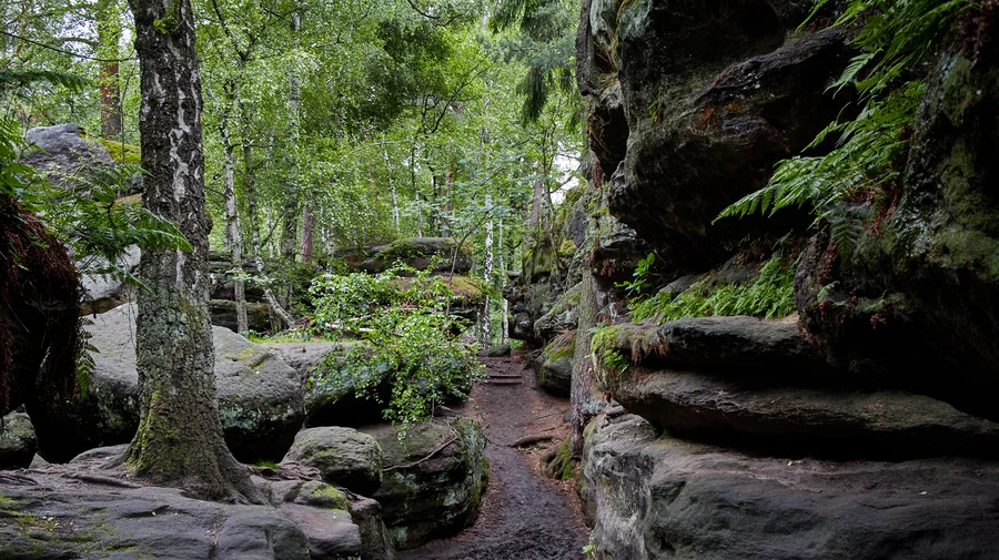 Felslabyrinth Langenhennersdorf