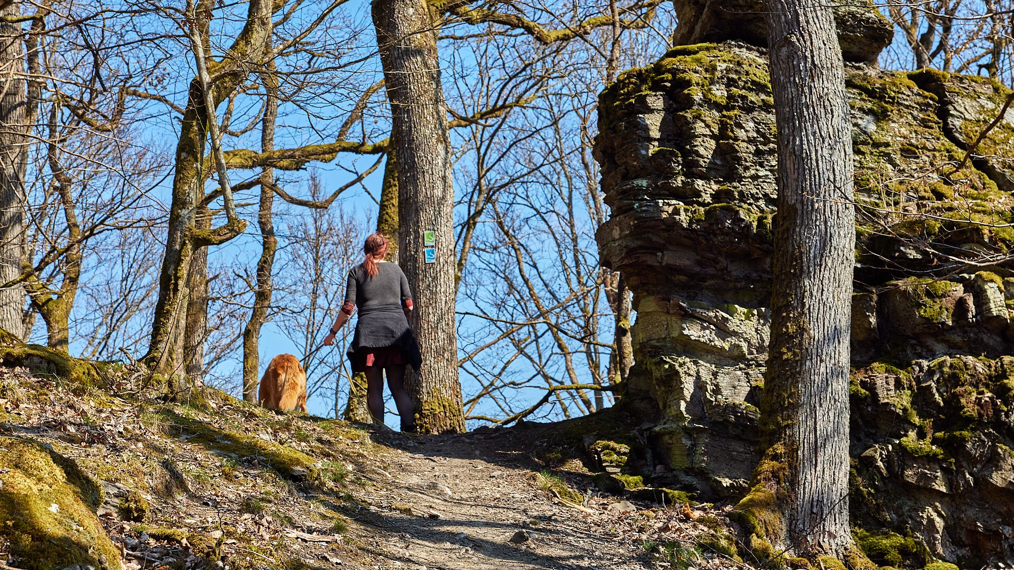 Wisper Trails