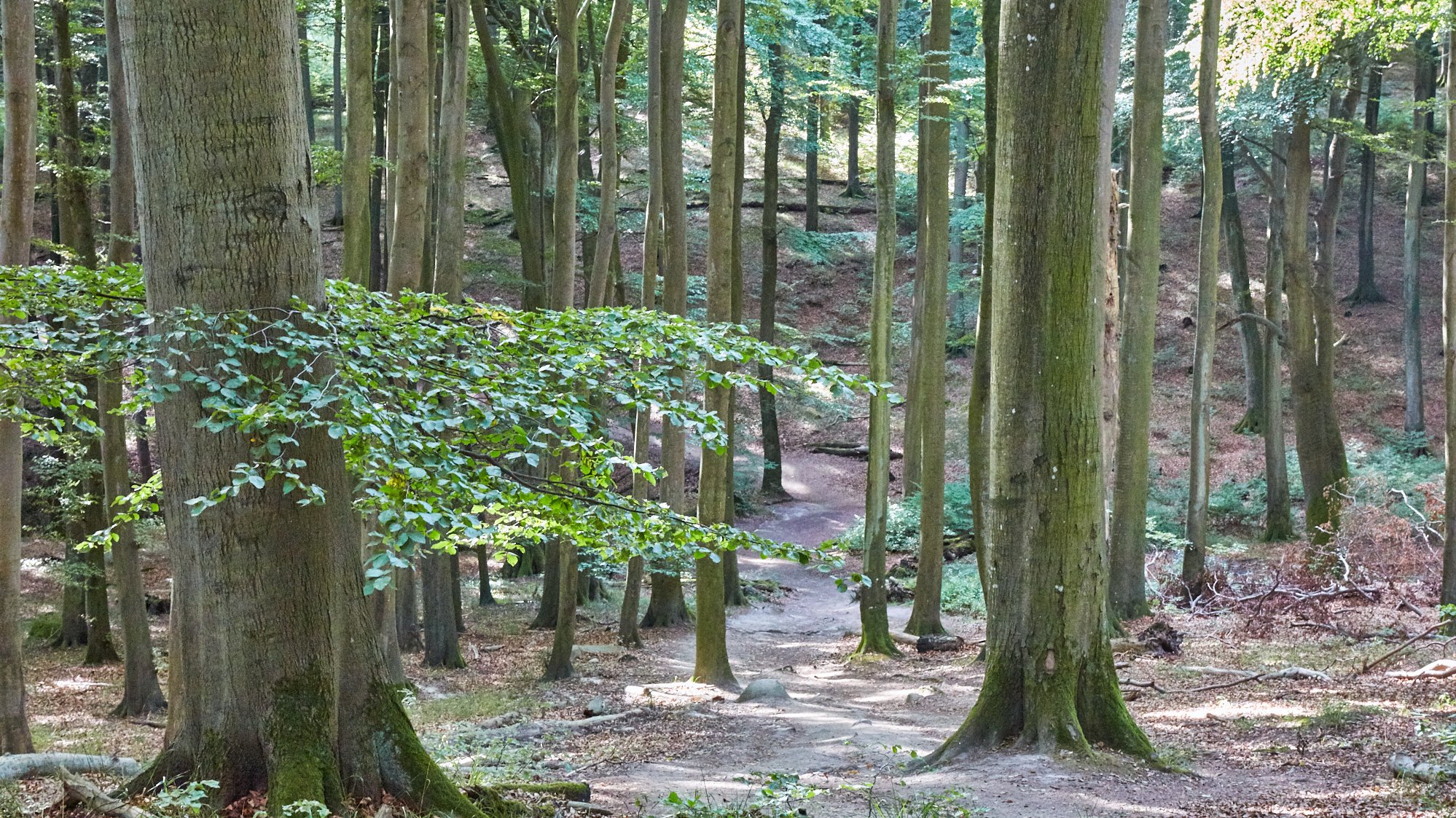 Nationalpark Jasmund