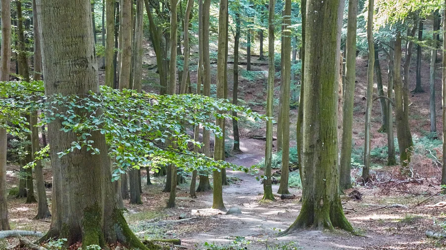Nationalpark Jasmund