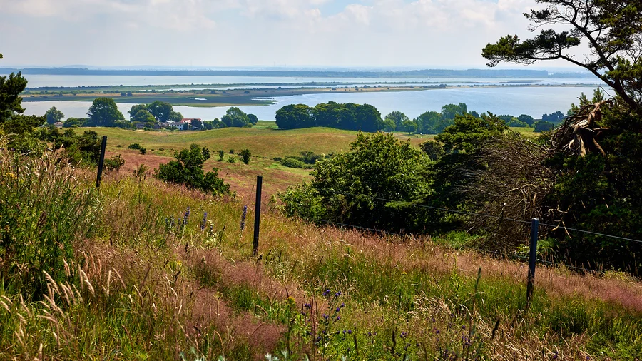 Zum Leuchtturm Dornbusch
