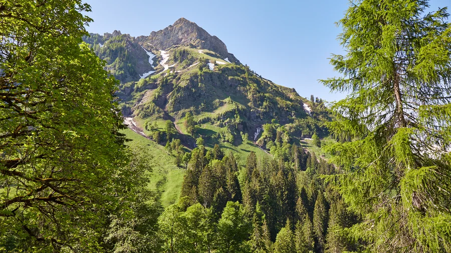 Giebelhaus