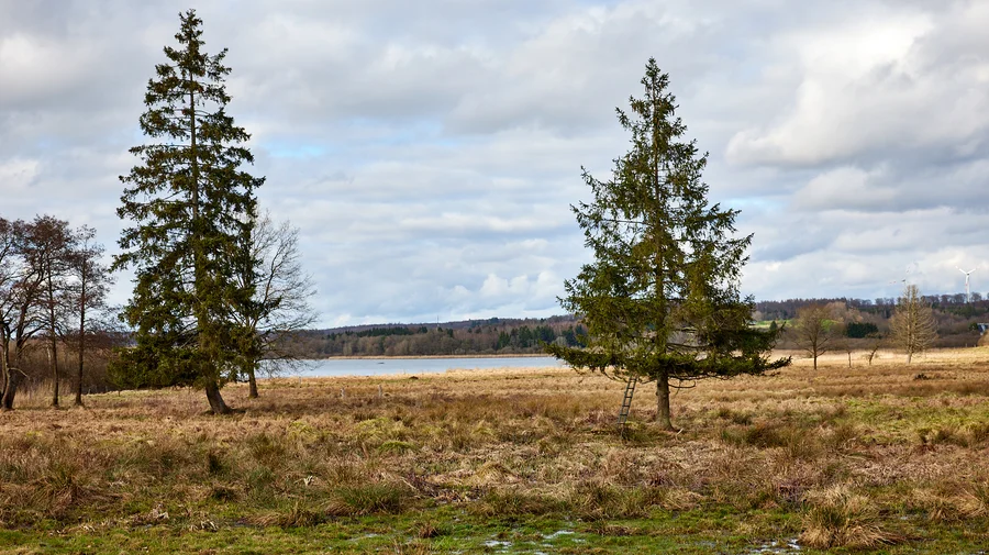 7-Weiher-Weg