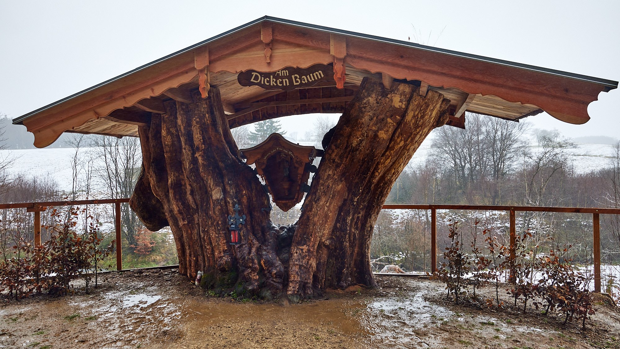 Am Weißen Stein - Eifel