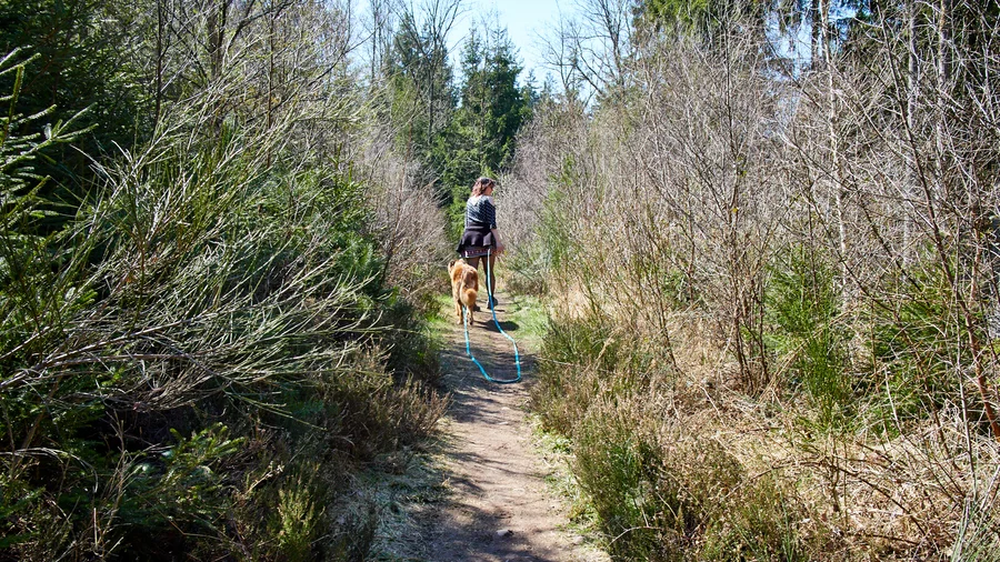 EifelSpuren Pingenwanderweg