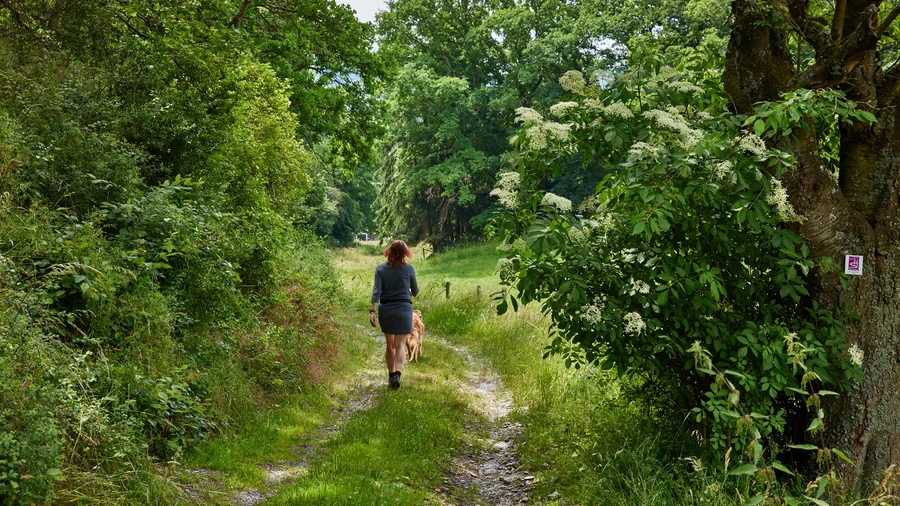 Soonwaldschleife