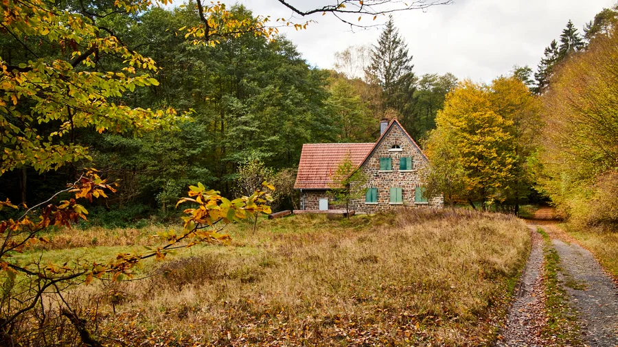 Nationalpark Kellerwald-Edersee
