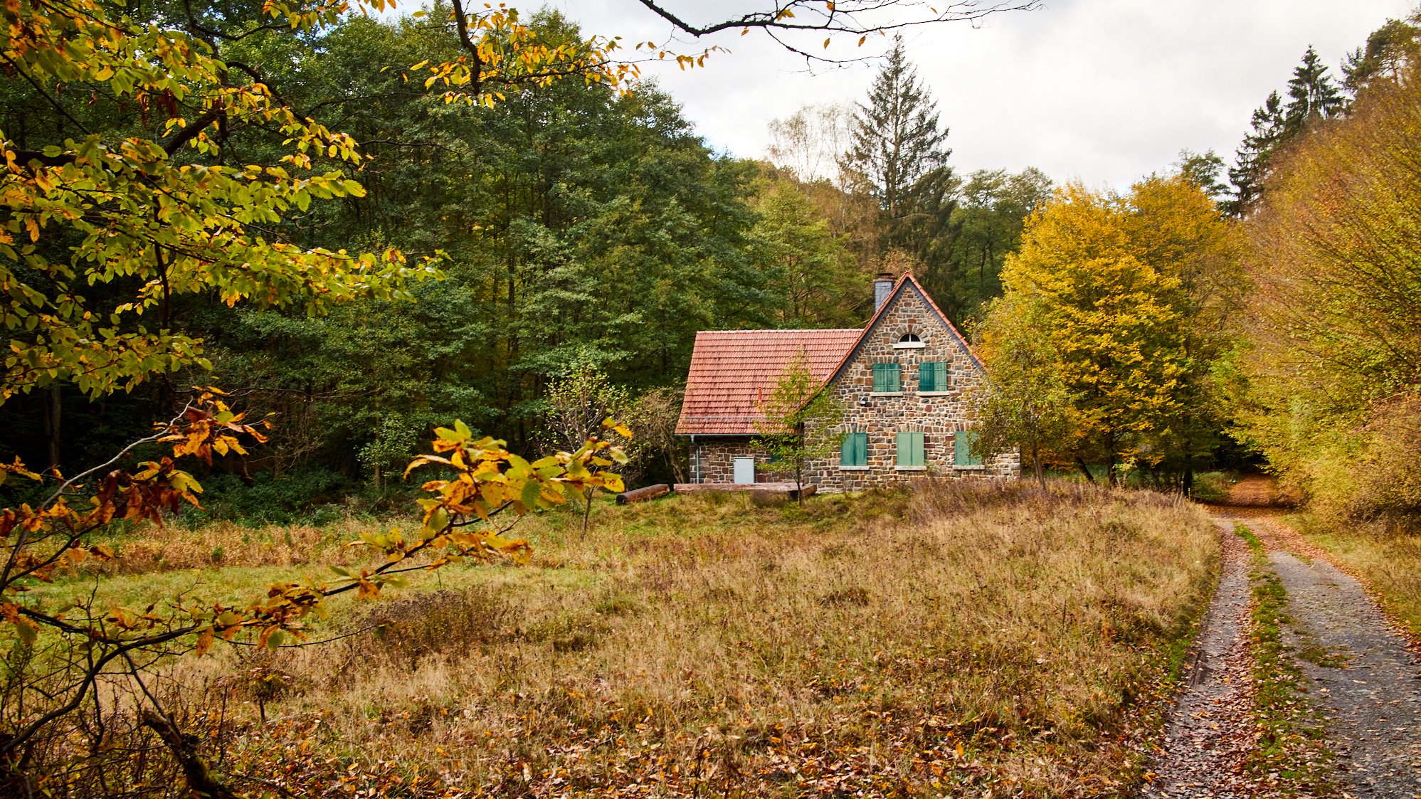 Nationalpark Kellerwald-Edersee