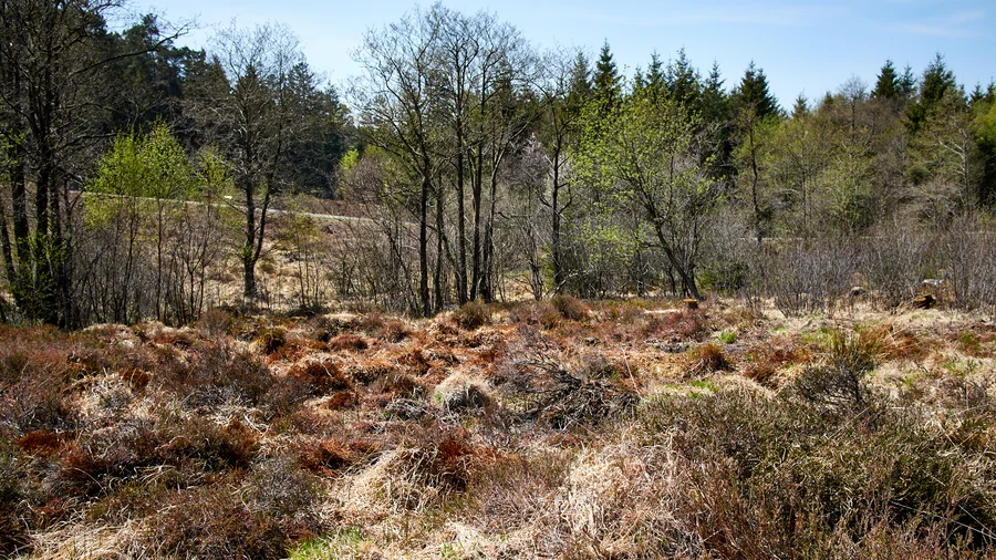 EifelSchleife Naturwanderpfad