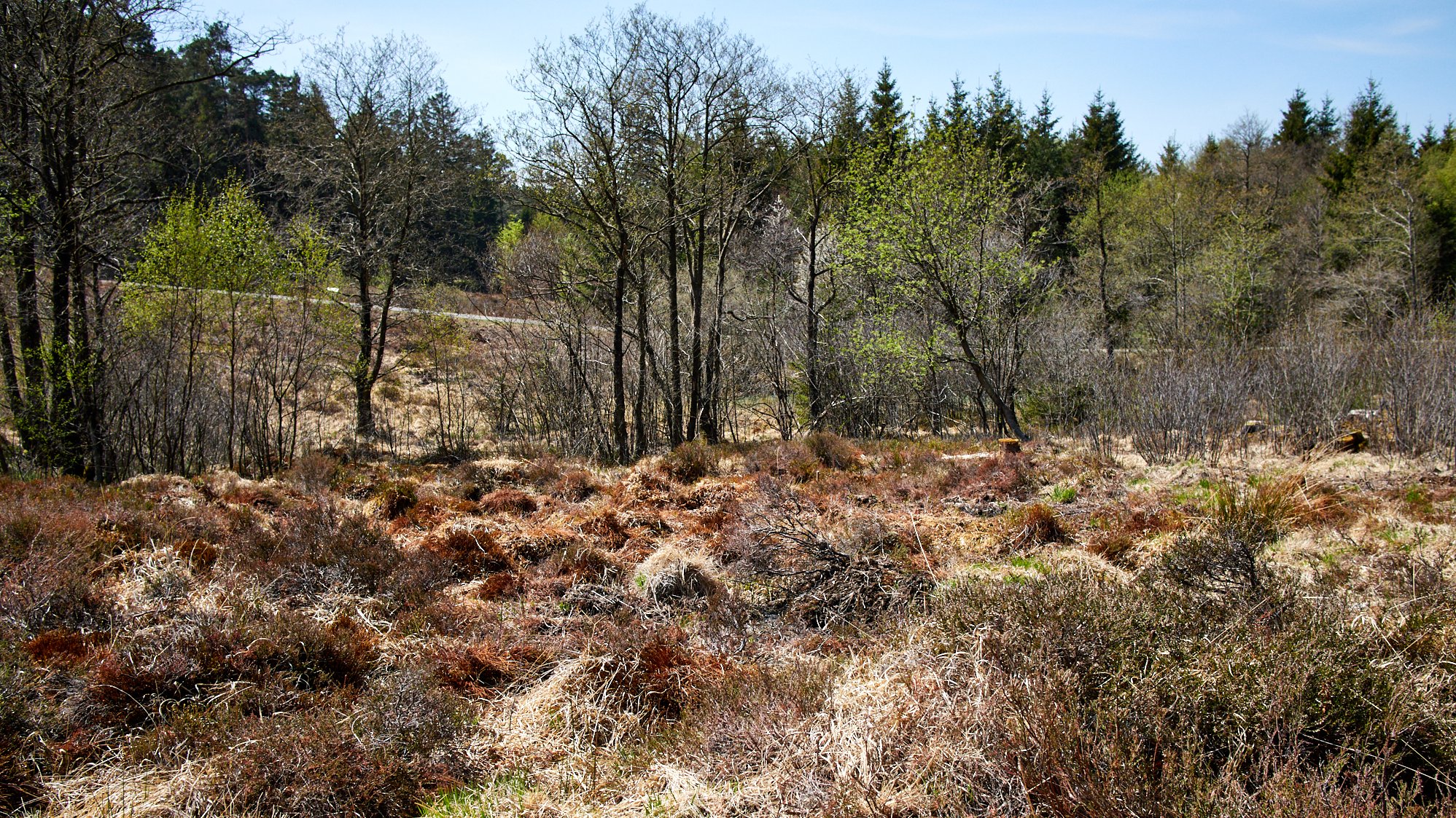 EifelSchleife Naturwanderpfad