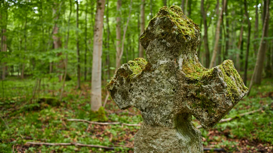 Hainich Betteleichenweg