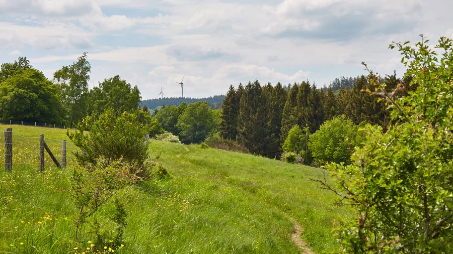 Schöpfungspfad
